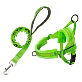 SlowTon No Pull Small Dog Harness and Leash, Front Lead Walk Vest Harness Soft Padded Reflective Adjustable Puppy Harness Anti-Twist Pet Lead Quick Fit for Small Dog Cat Animal