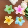 Flower Claw Clips, 4pcs Hawaiian Style,Nonslipstrong hold Big Hair Claw