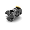 G-Force Street Tuned 380 Brushless Motor 21.5T (Fixed timing) G0415