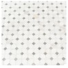Bianco Dolomite Dotty 12.31 in. x 12.36 in. Polished Marble
