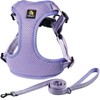 BELLA & PAL Dog Harness with Leash Set, Adjustable Step-in
