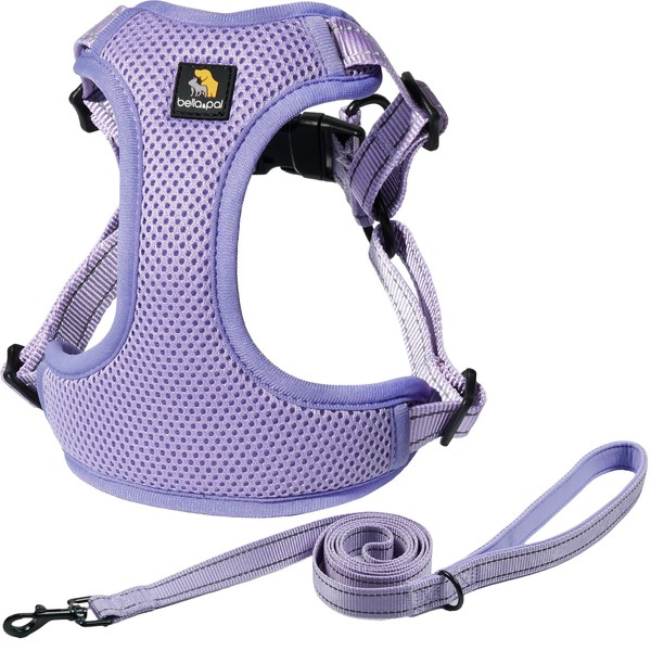 BELLA & PAL Dog Harness with Leash Set, Adjustable Step-in