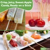 Perfect Stix Wooden Corn Dog Sticks. 10 inch x 3/16
