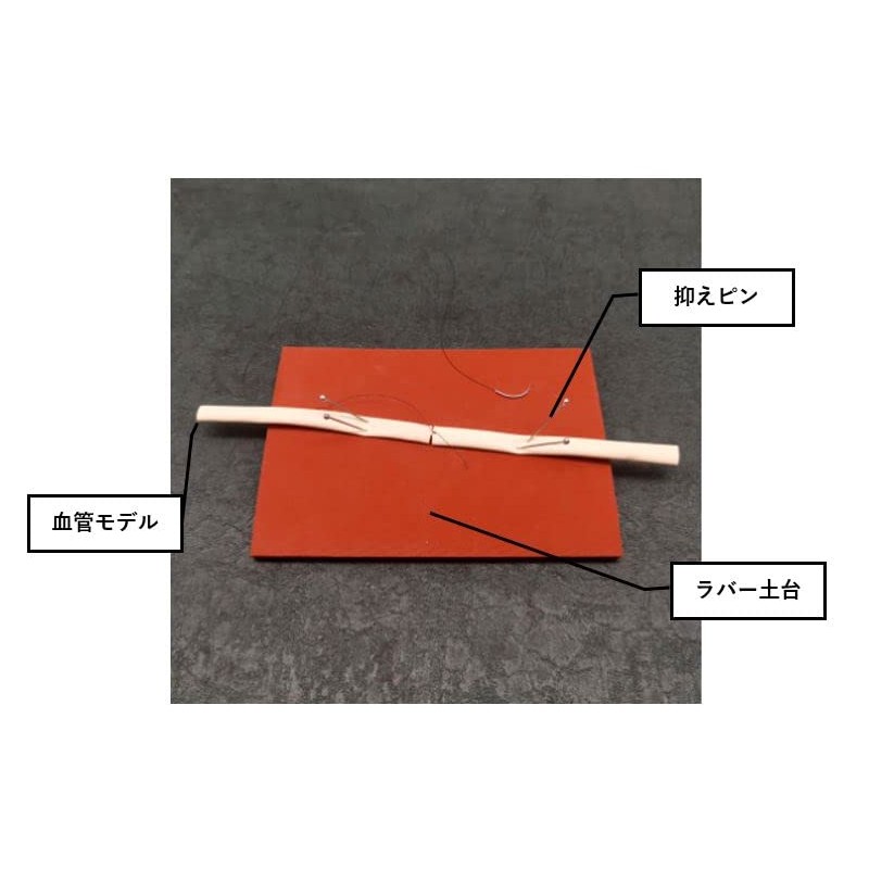 Vascular Model for Surgery Practice Vascular Anastomosis Suture Bypass Surgery