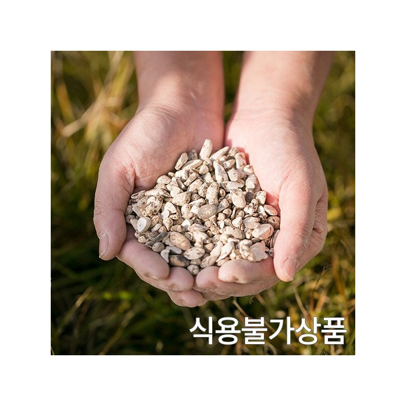 국산 향부자 300g 사초뿌리 씨 말린 건조 건 한방 차