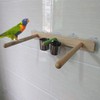 Litewood Wood Bird Perch Parrot Stand Parrot Standing Bar Toy