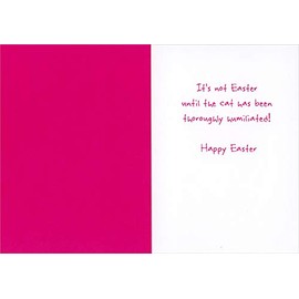 RSVP Angry Cat in Bunny Ears Funny : Humorous Easter Card