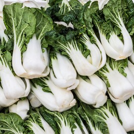 Cabbage Seeds - Pak Choi - Joi Choi - Hybrid - 1 Oz ~8500 Seeds - Non-GMO, F1 Hybrid - Asian Garden Vegetable
