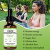 Chlorophyll Liquid Drops – Vegan Body Deodorant & Gut Health