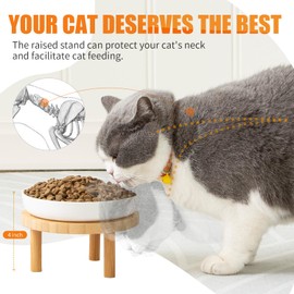 Lusifaco Shallow Elevated Cat Bowls,5.9 Inch Wide Raised Ceramic Cat Dishes with Bamboo Stand, Whisker Friendly Pet Water or Food Plates Feeding Station for Indoor Cats, Kitten(Blue,Set of 1)
