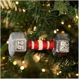 Super Cute 25 LB Glass Dumbbell Ornament Gift Idea Hanging Decor Xmas Holiday
