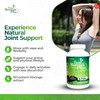 True Moringa Plus+ Joint Support Supplement 10:1 Extract | 20,000mg