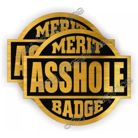 Unbranded/Generic (2) A-HOLE Merit Badge Funny Hard Hat Helmet Stickers / Foreman Gag Joke Decals