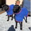 HhiMyOct Dog Robe - Fast Drying Towel - Microfiber Super
