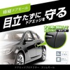 Carmate CZ495 Car Molding Door Edge Protector, Invisible, Matte, Black,