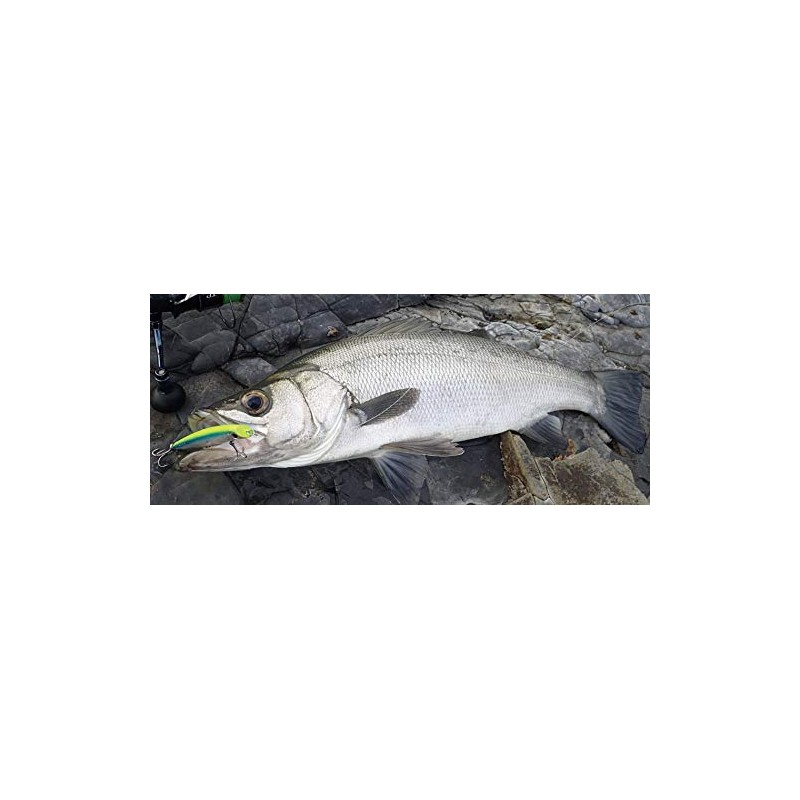 Shimano OT-145K 001 Oshia Lure, Bespoke Heimasa, 145F, Kyorin Sardine