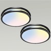 libtit 13 Inch Flush Mount Ceiling Lights, Dimmable 3000K-6500K Adjustable