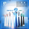 TEETHEORY 2 Pack Sonic Toothbrush, Electric Toothbrush Adults with 40000VPM