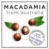 HASK MACADAMIA Moisturizing Hair Oil Vials for shine and frizz