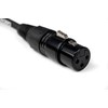 Cascha Standard Line Microphone Cable (XLR), Purple, 2 m