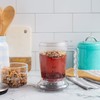 Adagio Teas IngenuiTEA Iced/XL Infusore per tè sciolto - Brewer
