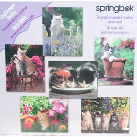 SPRINGBOK SIX PUZZLES IN ONE BOX