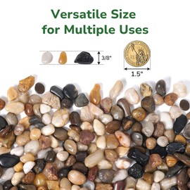 GreatBuddy 2.5-lb Pebbles for Indoor Plants, 3/8" Pea Gravel for Vases, Small Rocks for Succulents, Fish Tanks, Aquariums, Terrarium, Drainage Pebbles for Potted Plants, River Rocks for Landscaping
