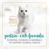 Purina Fancy Feast Classic Grain Free Wet Cat Food Pate