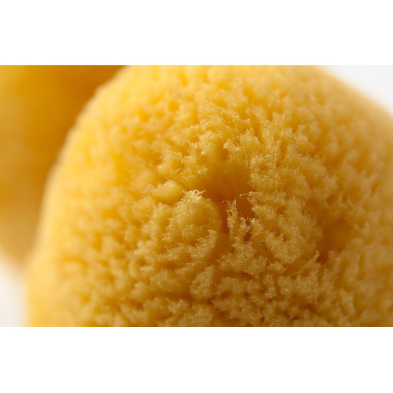 Grünspecht 510 V1 Baby Natural Sponge, Zimocca