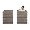 Pemberly Row 2 Drawer Nightstand in Truffle Gray