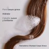 ISDIN Nutradeica Shampoo Anticaspa grasa, Reduce la Descamación, el Picor
