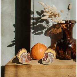 C&F Home Thanksgiving Turkey Salt & Pepper Set Of 2 Decor Decoration Brown