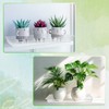 SiliFine 20 Pcs Clear Plastic Plant Saucer Rectangular Plant Drip