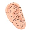 600Pcs Acupressure Ear Beads Massage Acupoint Pressure Stimulation Paste Ear