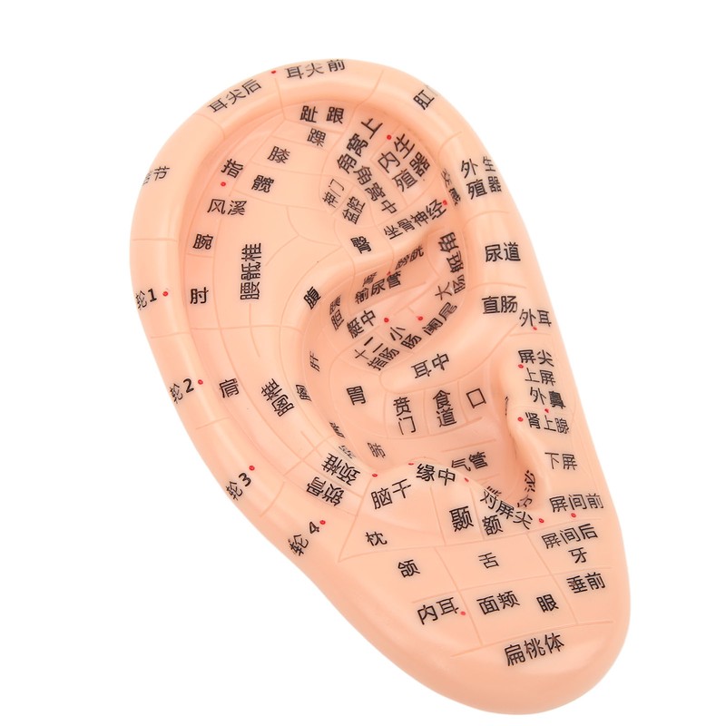 600Pcs Acupressure Ear Beads Massage Acupoint Pressure Stimulation Paste Ear