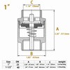 Brass 1" Female Check Valve, Spring-Loaded Quiet Check Valves Prevents