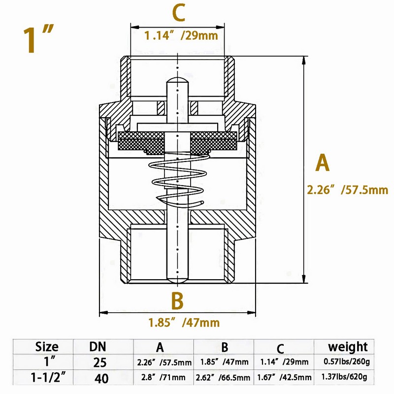 Brass 1" Female Check Valve, Spring-Loaded Quiet Check Valves Prevents