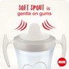 NUK Trainer Cup Sippy Cup | Leak-Proof Soft Drinking Spout