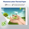 Phomemo A4 Quick-dry Continuous Thermal Paper, 8.27"x275 3/5" (210mm*6.5m) width,