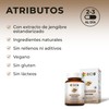 BIO B | Extracto de Jengibre | 60 cápsulas veganas