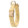 Adjustable Jacquard Webbing in Yellow Daisy Pattern Dog Collar with
