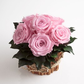 ROSEMARIE SCHULZ Heidelberg Rose Arrangement 6 Preserved Roses Long Lasting 3 Years Flower Arrangement Farmhouse Flower Decoration Table (Pink)