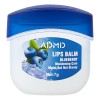 Bálsamo Labial Hidratante Repara Daños Aromas 24pzs