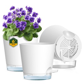 Meowell 6 inch Self Watering Pots for Indoor Outdoor Plants, 3 Pack Flower Plant Pots with Drainage Holes and Clear Reservoirs, Visible Water Level, Plastic Planters with Wicking Rope, White