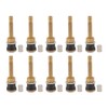 10 Pcs Valve Stems Straight Brass Heavy Duty Clamp in