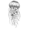 Temporary Jellyfish and Butterfly Tattoo Temporary Fake Tattoo XQB1392 1393