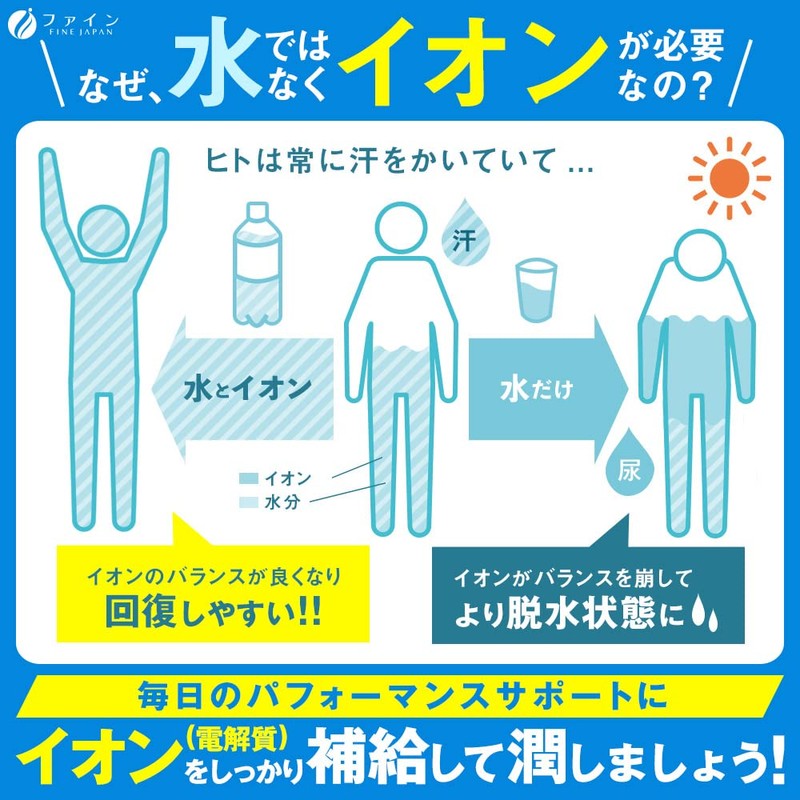 ファイン イオンドリンク 砂糖不使用 カロリーゼロ スポーツドリンクの味 22包入×2個セット