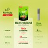B Life Electrolitos con Creatina con 45 Sobres 5 Sabores
