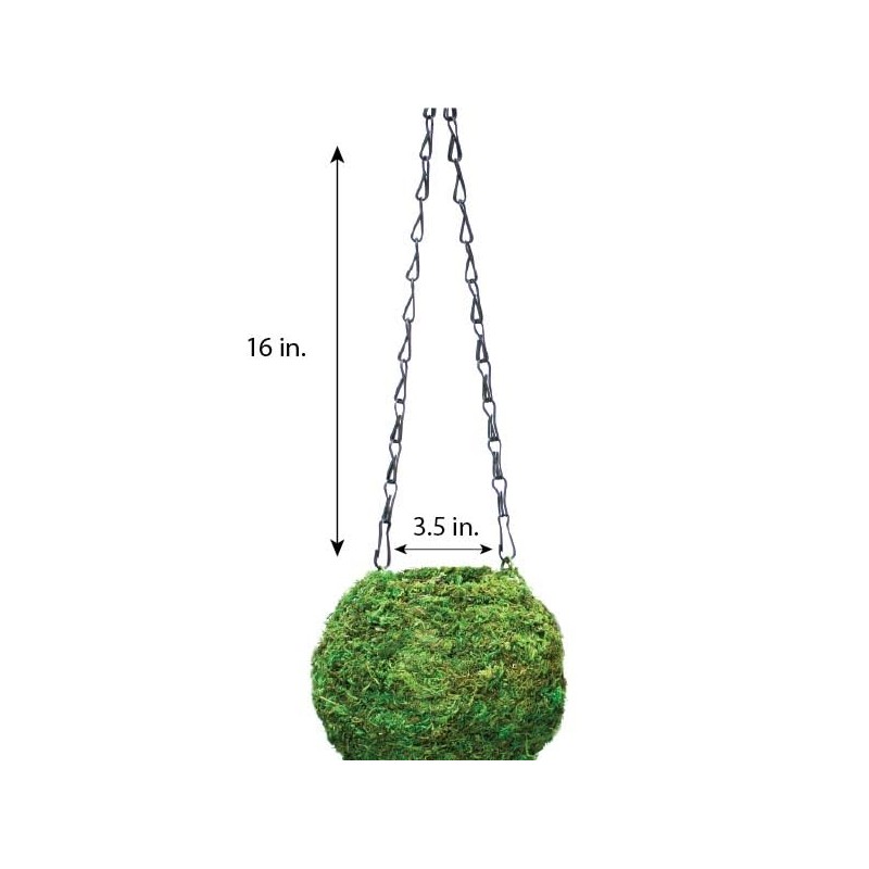 SuperMoss (29348) Kokedama Planter, 6", Fresh Green