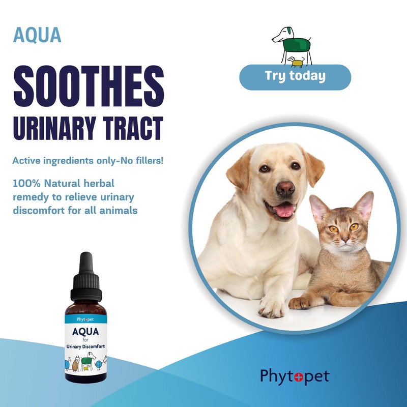 Phytopet Aqua | 100ml |100% Natural Herbal Remedy for Urinary